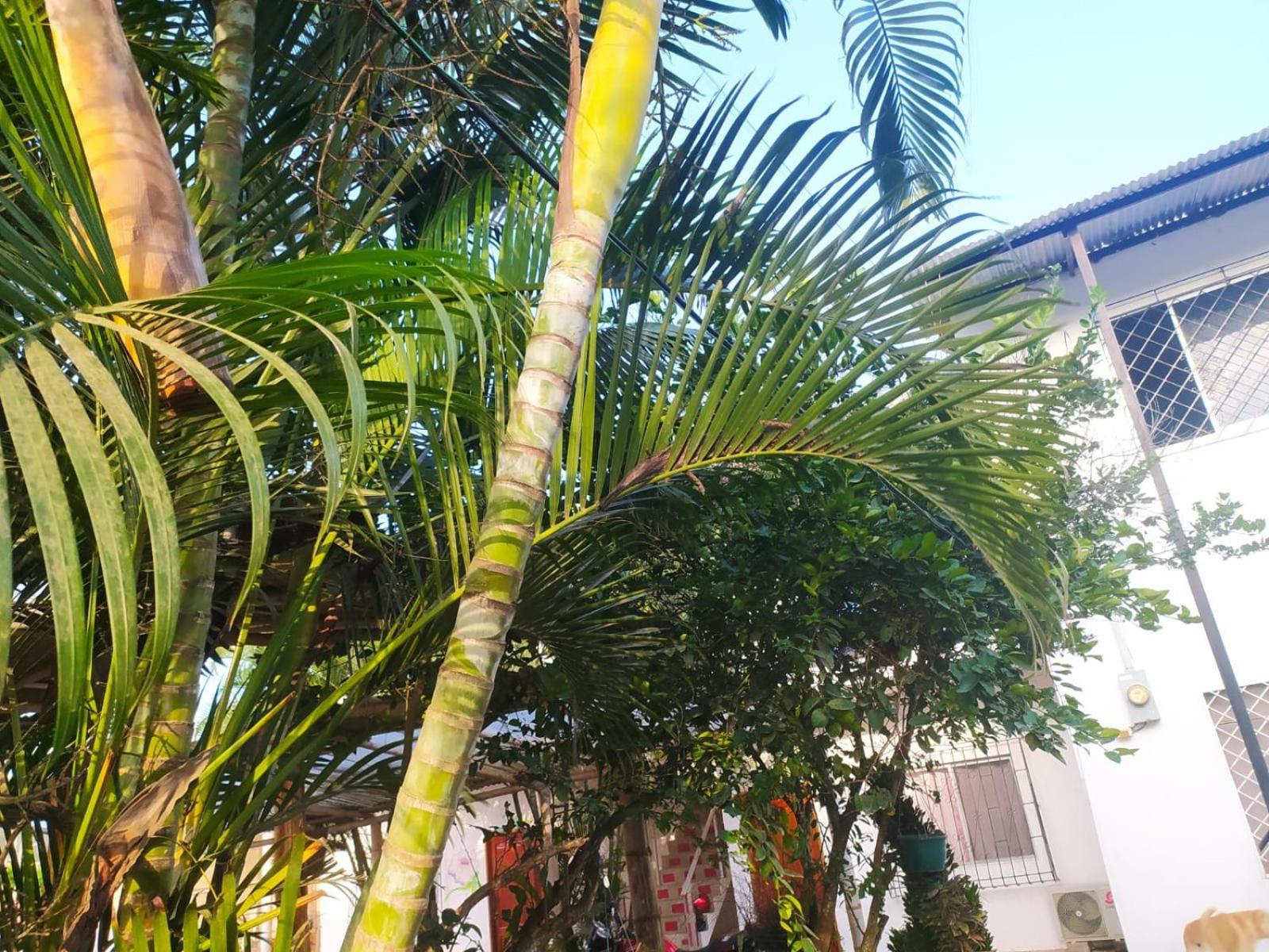 Hosteria Del Puerto Puerto López Zewnętrze zdjęcie